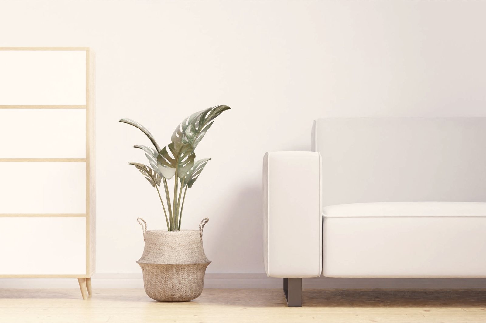 A calm, minimal room with a light sofa, a potted plant, and warm natural light.